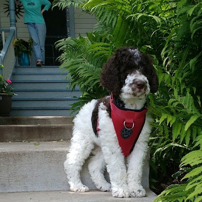 Photos of Cedar Grove Veterinary Services