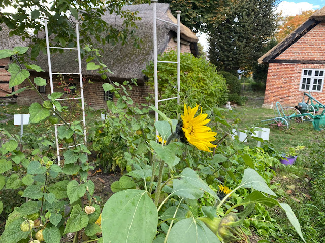 Museumshof Göhren by null