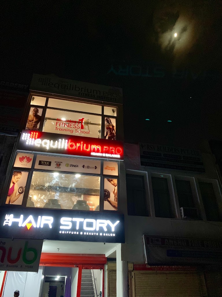 Equilibrium Pro Sector 16A