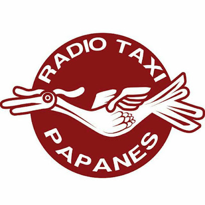Foto ede Radio Taxi Papanes A.C.