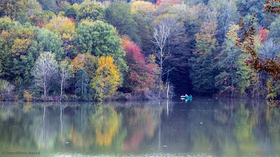 Photos of Elimalat Lake