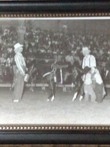 Tennessee High School Rodeo Association - Thumbnail