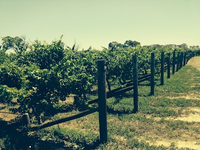 Photos of Hollick Wines