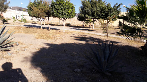 Buganvilias Park Gallery - Mexico