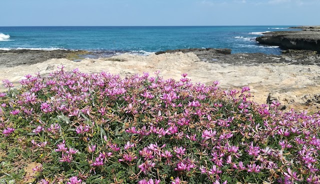 Torre Beach Pozzelle