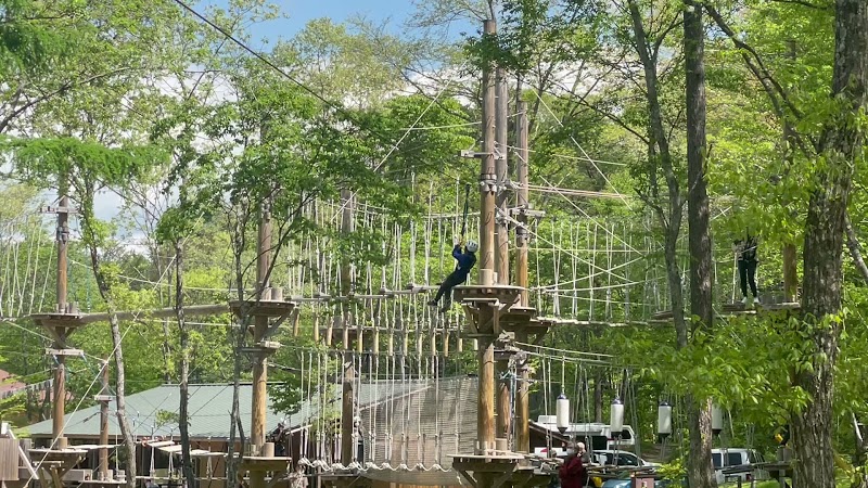 株式会社ライジング・フィールド