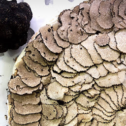 Photo n°36 de Balme à La Baule-Escoublac (Bar à vin)