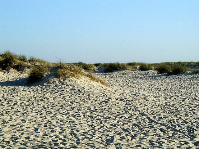Praia das Dunas de São Jacinto