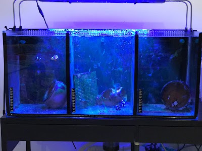 Photos of AQUATIC LIFE Co. glass