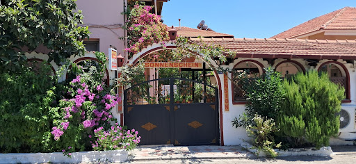 Gün Işığı Pansiyon Apart