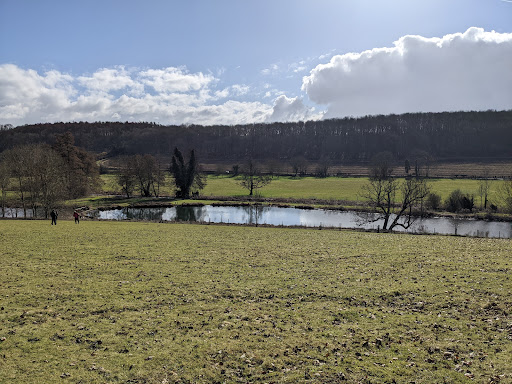 Latimer Park - Visual