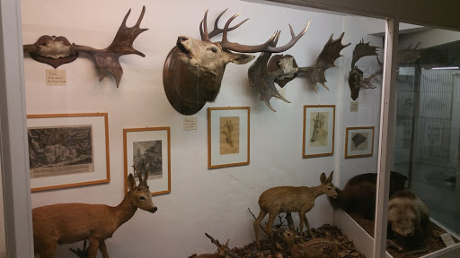 Museum Stemmler Gallery - Germany