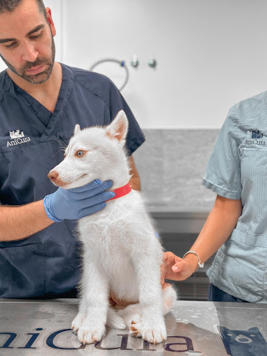 AniCura Bahía de Málaga Referencia Veterinaria