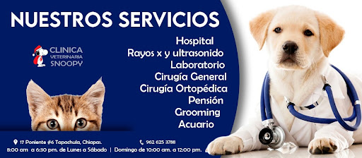 Veterinaria Snoopy