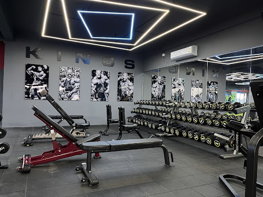 Kings Gym Kollam (7000sq.ft premium Unisex gym)