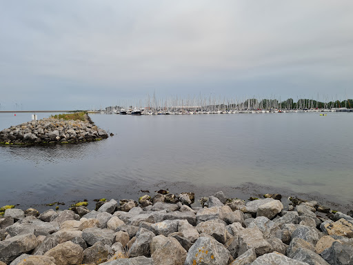 Strand Bruinisse - Thumbnail