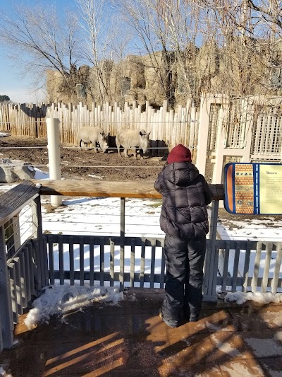 Elephant Encounter at Hogle Zoo