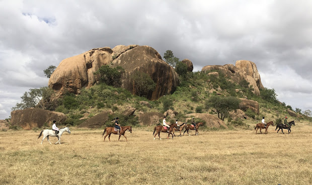 Saddlebags Adventures - Horse riding by null