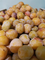 Photo n°6 de Ferme De Champagne à Traînou (Primeur)