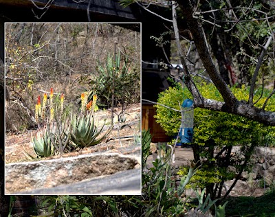 Photos of Nightjar Guest Lodge