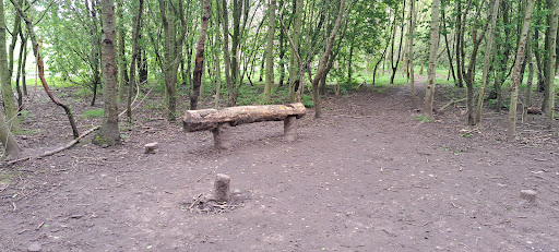 Withy Hill Woods