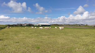 Photo n°3 de Altéor Transaction à Noyal-Pontivy (Agence immobilière)