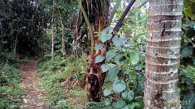 Photos of Pondok Indah Rumpun Bambu
