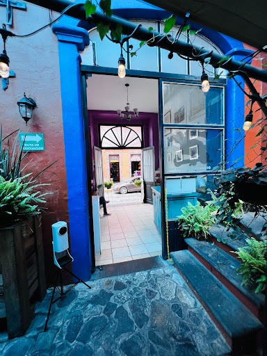 Fonda y Galeria La Damajuana