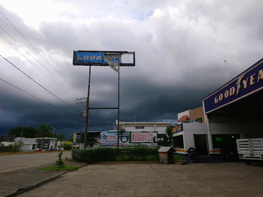 Goodyear Vimosa