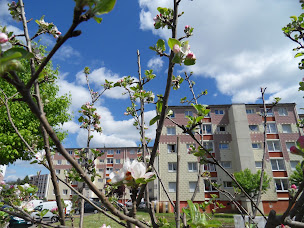 Photo n°5 de Terreauciel à Toulouse (Paysagiste)