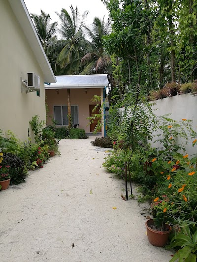 Photos of Ari heaven thoddoo maldives