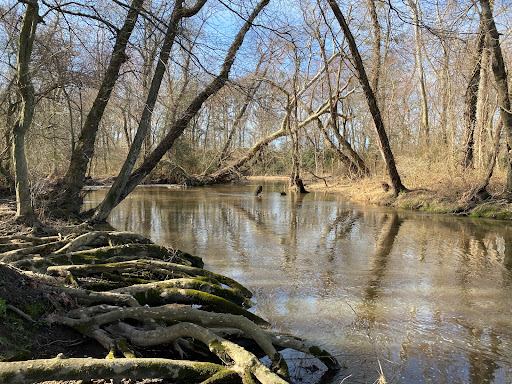 Tuckahoe State Park - Thumbnail