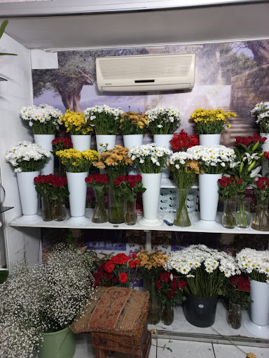 Buse Çiçekçilik Bodrum