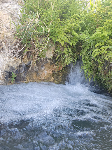 Gandy Warm Spring - Visual