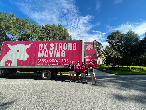 Ox Strong Moving - Thumbnail