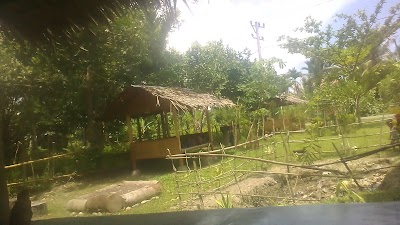 Photos of Balqis Ponsel