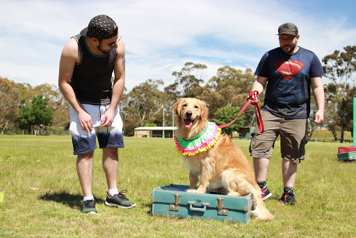 Canine Connect - Thumbnail