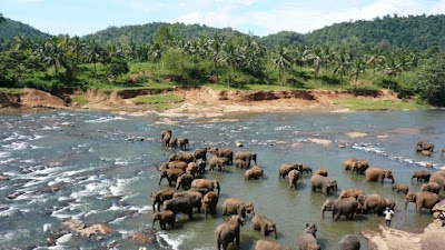 Photos of Pinnawala Elephant Orphanage Bus Stop