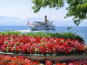 Photo n°17 de Camping le Relais du Léman à Messery (Agence de location de maisons de vacances)