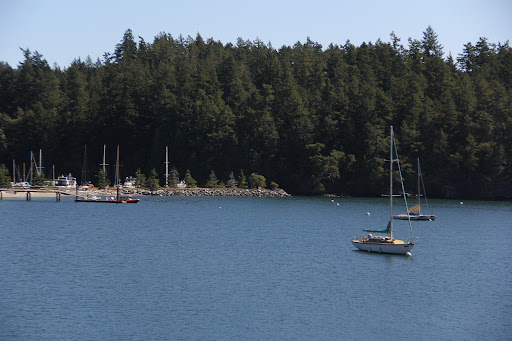 Port of Anacortes Logo