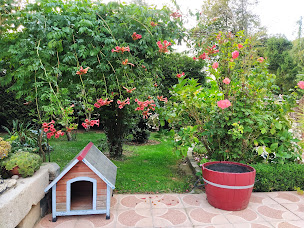 Photo n°13 de La Vieille Ferme - Chambres d'hôtes en Normandie à Ingouville (Chambre d'hôtes)