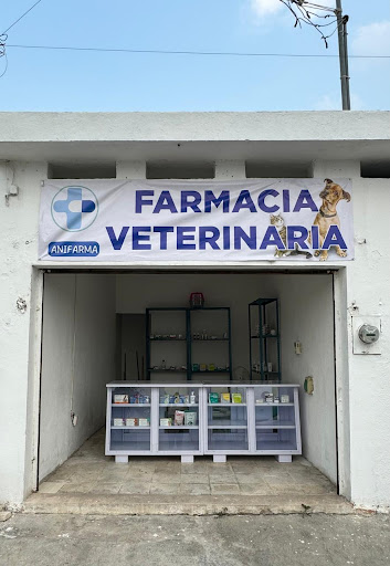 Anifarma - Visual
