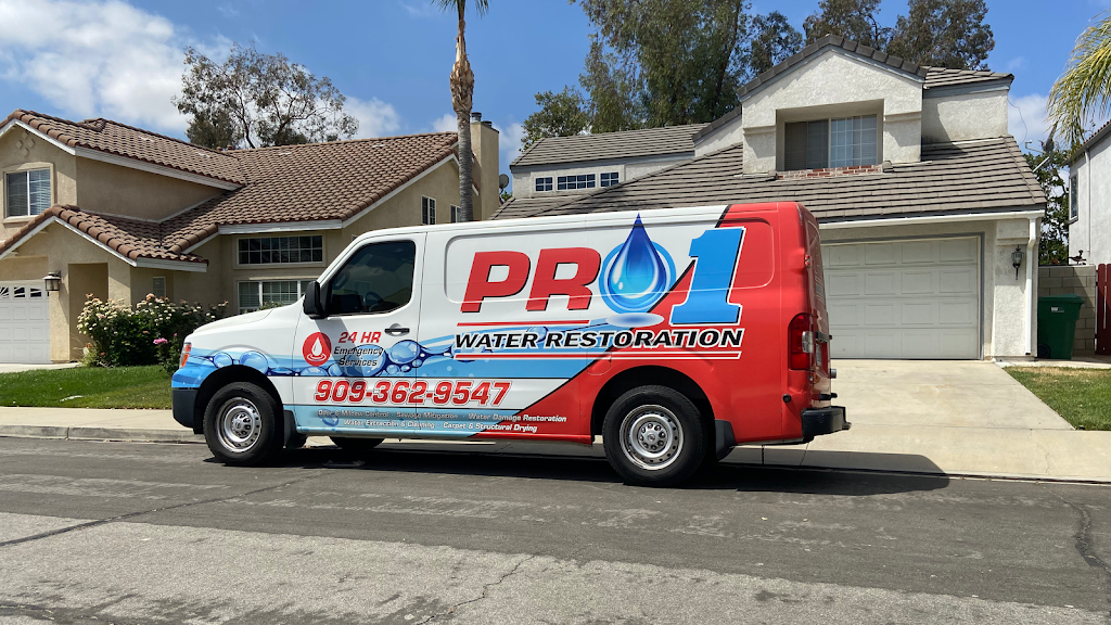 Pro 1 Water Restoration photo