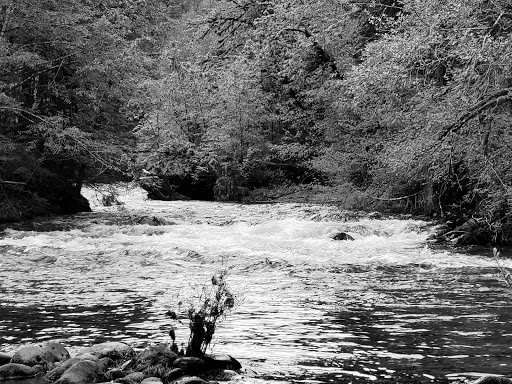 McKenzie Bridge - Thumbnail