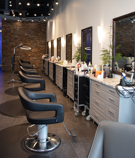 Salon Populus - Thumbnail