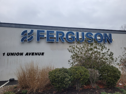 Ferguson - Visual
