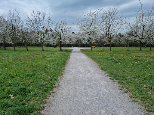 Parco Lura - parco urbano di Saronno