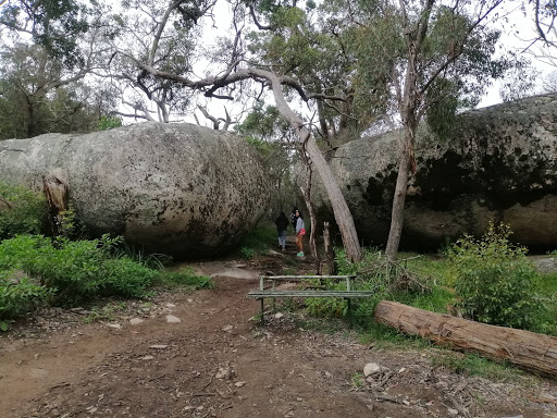 Filippos Tours Stanthorpe - Thumbnail