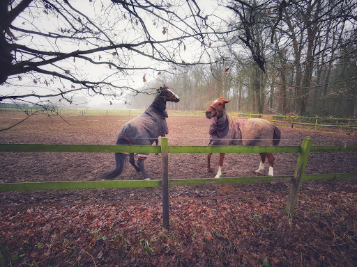 Landgoed Bijvanck - Thumbnail