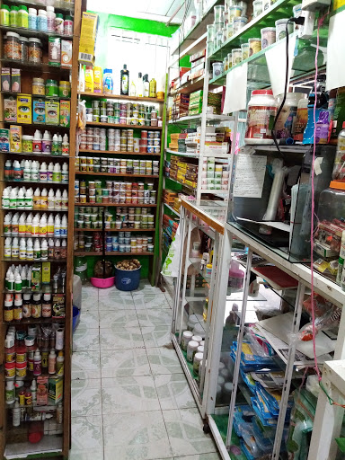 Tienda naturista HTG Gallery - Mexico